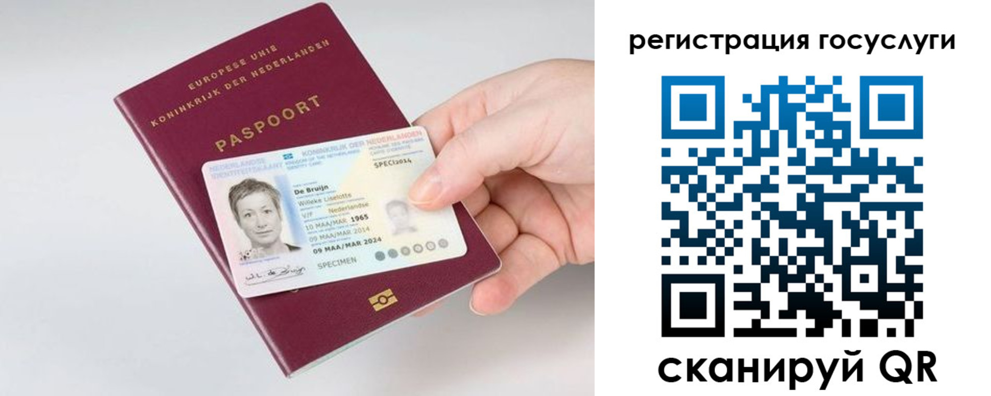 регистрация для дет. сада в Щёкино